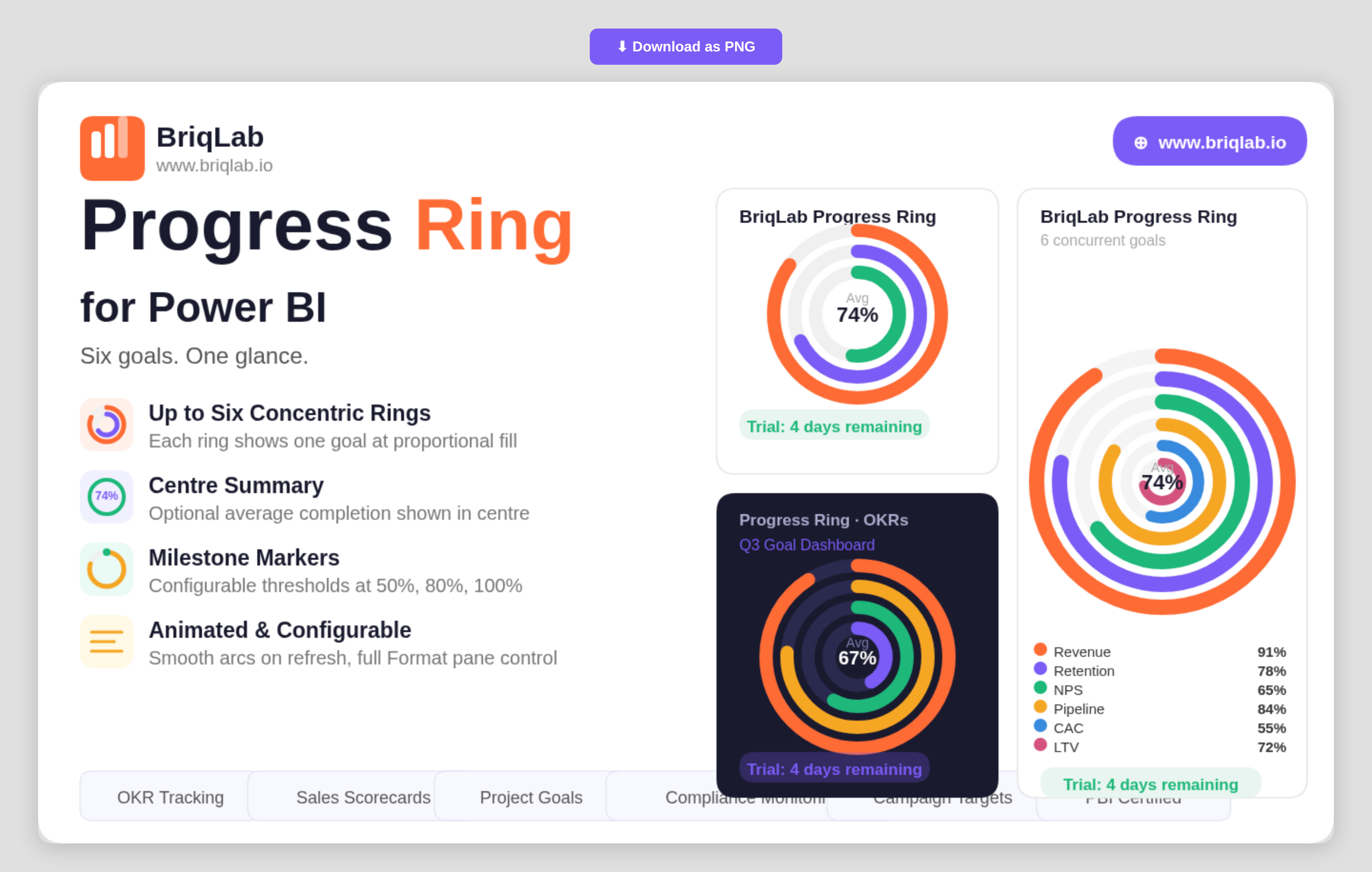 Briqlab Progress Ring -pbiviz
